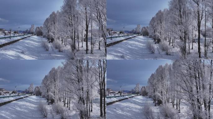 雪柳冰雪世界雾凇241104 (19)