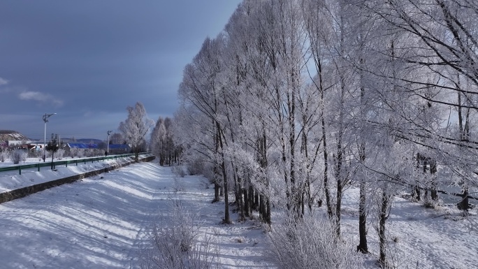 雪柳冰雪世界雾凇241104 (20)