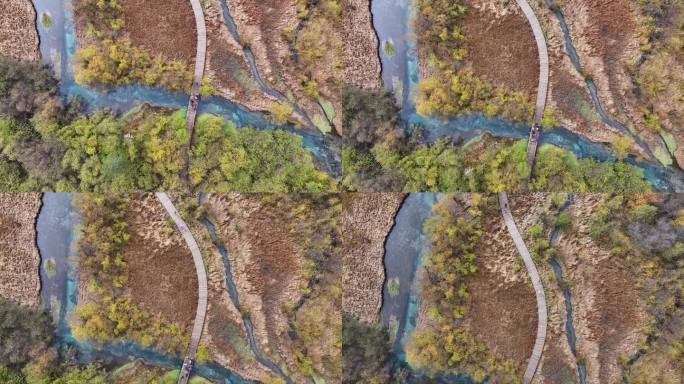 航拍九寨沟秋景彩林川西秋天原始森林五花海