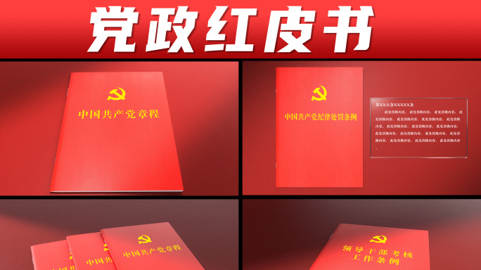 法律法规书 红皮书 章程