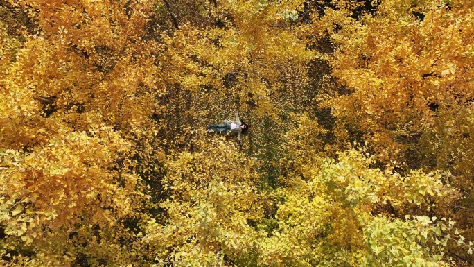 航拍陕西西安地标雁南公园夕阳秋天红枫叶