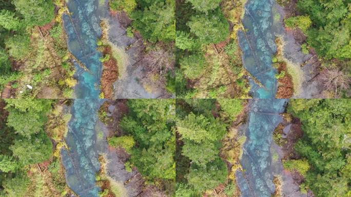 航拍九寨沟秋景彩林川西秋天原始森林五花海