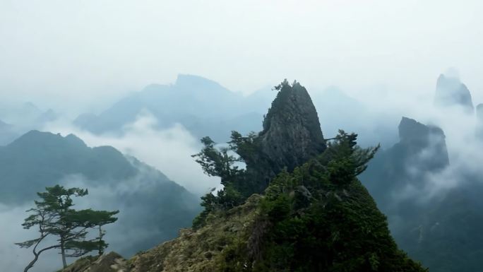 黄山景区 迎客松 中国黄山 奇峰云海