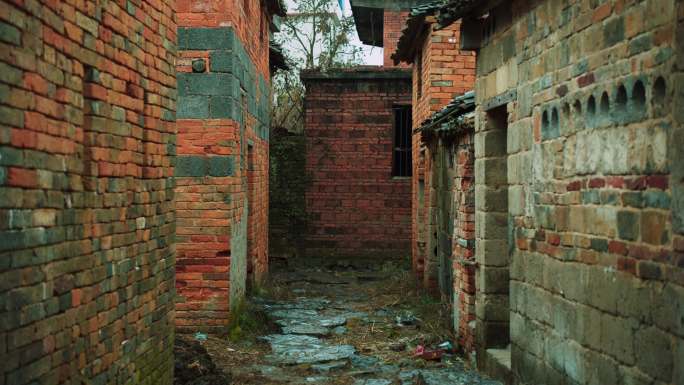 农村空巷 空镜头ARRI拍摄