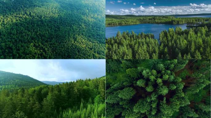 航拍森林湖泊大山视频素材