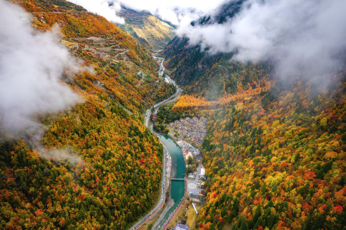 黑水秋日彩林美景航拍4k