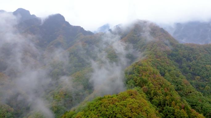 航拍秋季秦岭五彩森林和乡村公路