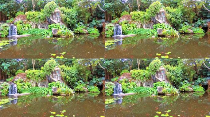 动态热带雨林池塘场景