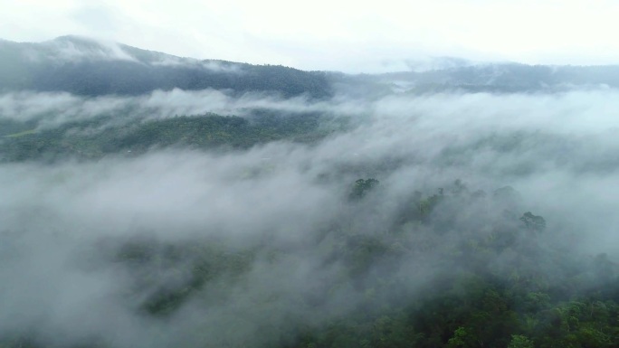 大山航拍森林云雾视频素材