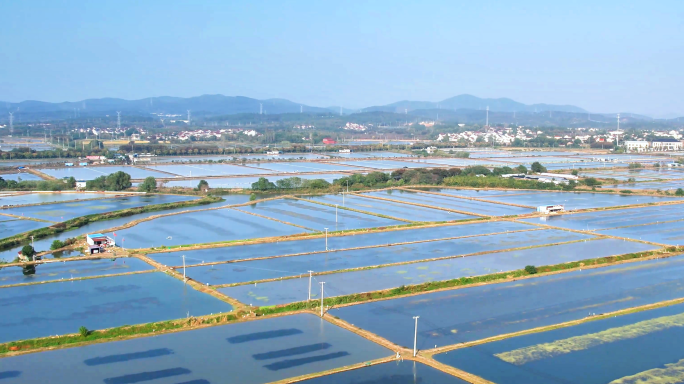 富财圩宝藏：溧水区晶桥水晶村螃蟹养殖航拍