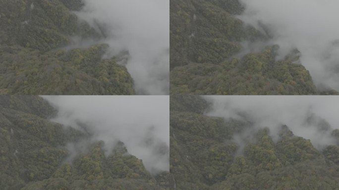 汉中南郑黎坪森林公园