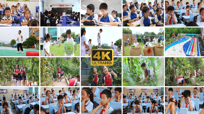 中小学素质教育幼儿园教育课堂课外学校校园