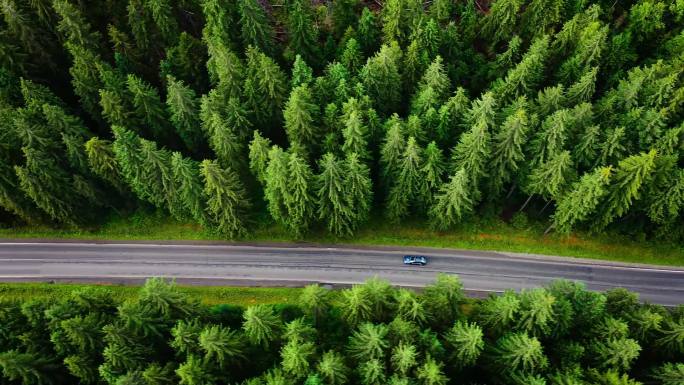 大山森林自然公路视频素材