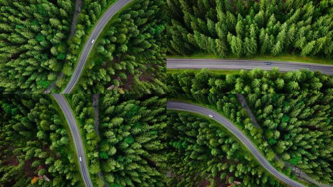 大山森林自然公路视频素材