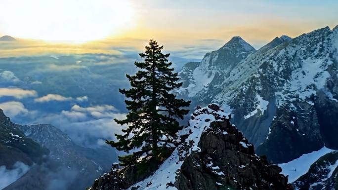 黄山 迎客松 日出云海 雪景 黄山风光