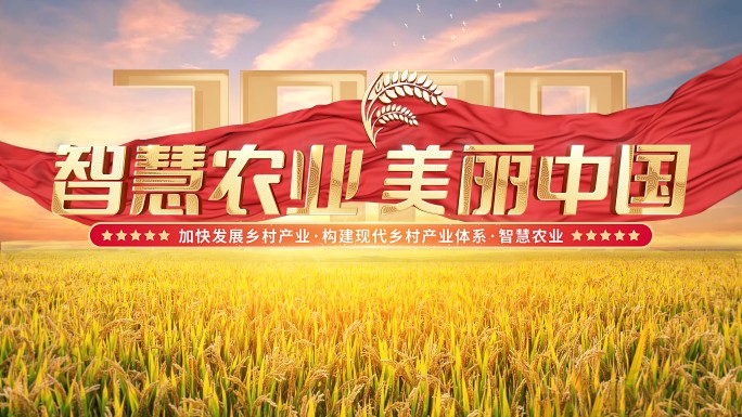 水稻丰收片头