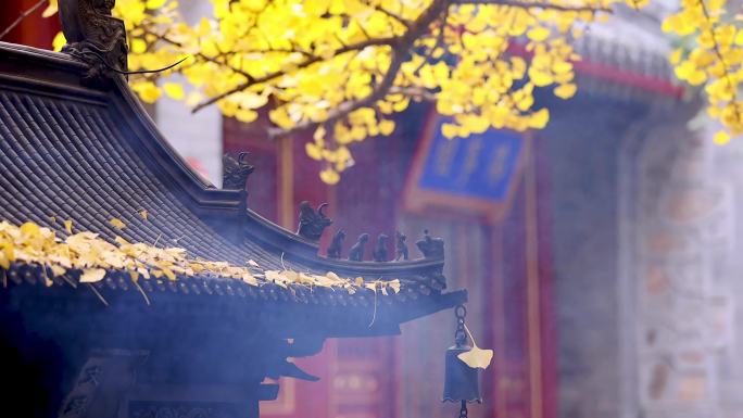 高清实拍北京八大处大悲寺秋天银杏香火