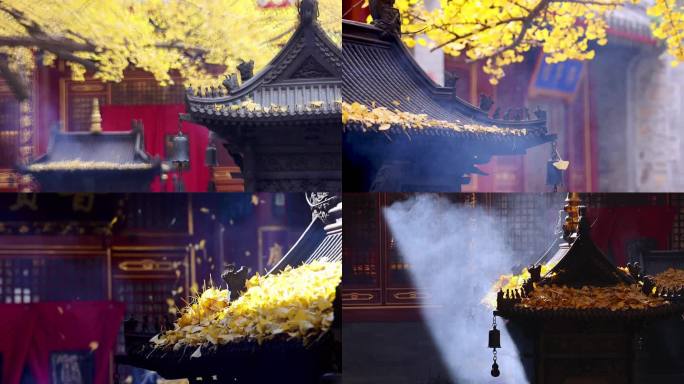 高清实拍北京八大处大悲寺秋天银杏香火