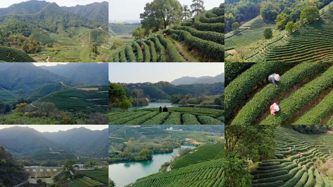 杭州茶山光明寺水库航拍素材集锦