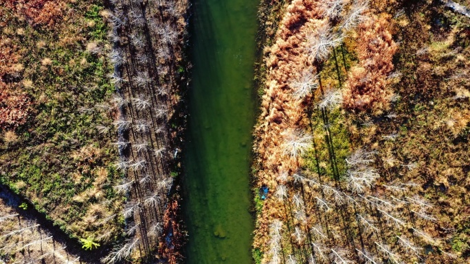小桥流水 溪流 河流 俯拍河道 岸边倒影