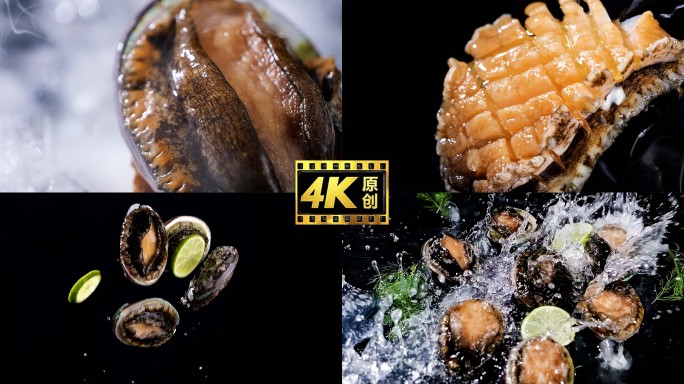 海鲜鲍鱼鲜活鲍鱼升格