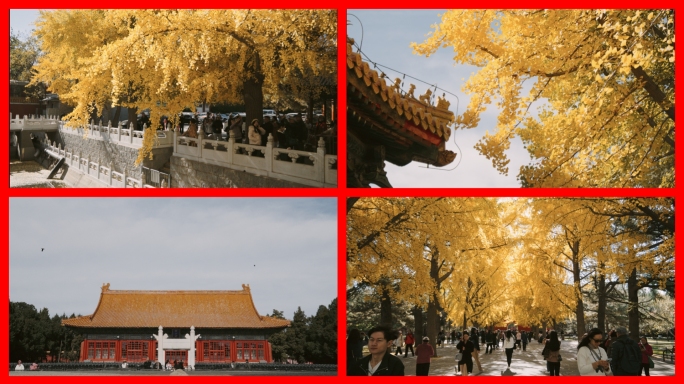 北京中山公园秋景