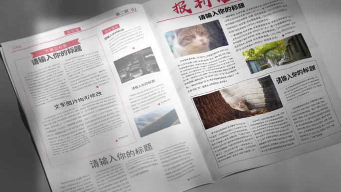 新闻报道