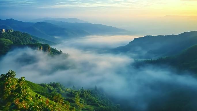 小鸟 大山 云雾大山 大雾 云海