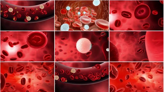 红细胞