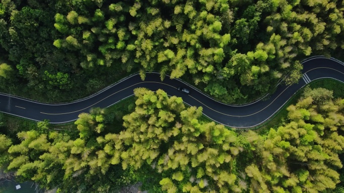川藏线公路