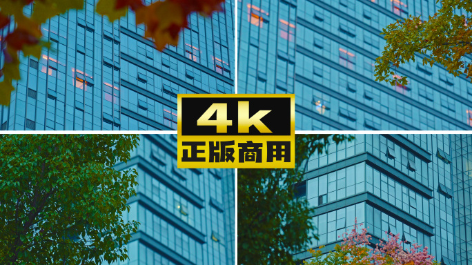 4K原创 办公楼 窗户 树叶遮挡特写