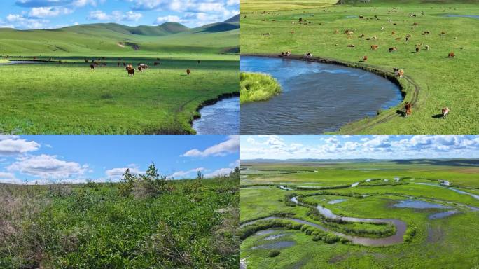 乌拉盖草原自然公园G