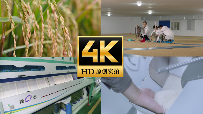 稻谷种植大米仓储储存加工生产超市销售