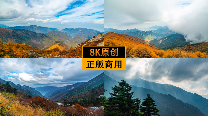 陕西秦岭太白山秋景8K延时