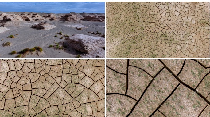 土地干裂 干涸 戈壁 环境