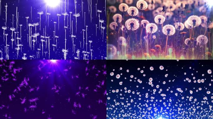 王奕心不是因为寂寞才想你配乐舞台视频无声