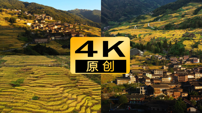 4K古壮梯田