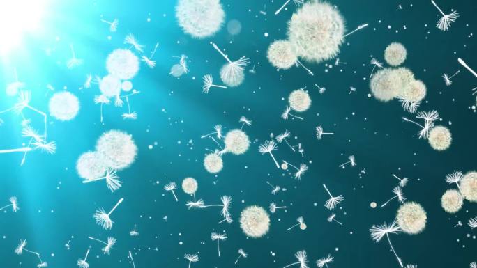 望海高歌爱的路上我和你配乐舞台视频无声版