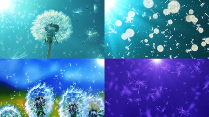 望海高歌爱的路上我和你配乐舞台视频无声版