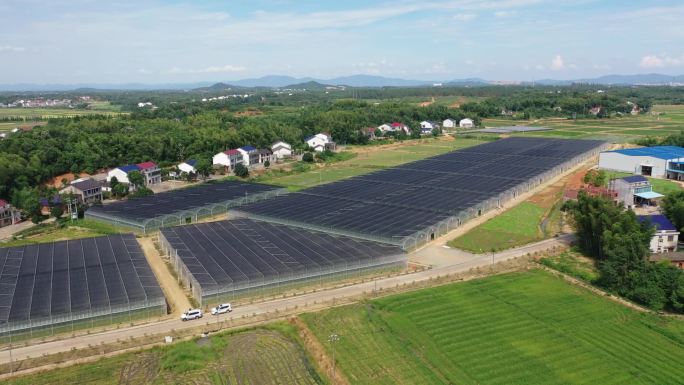 航拍大棚水稻育秧育苗基地2