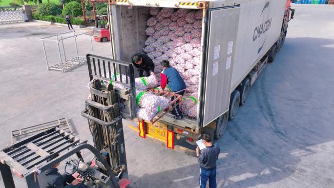 大蒜 运输 物流  冷库贸易装车外贸农业