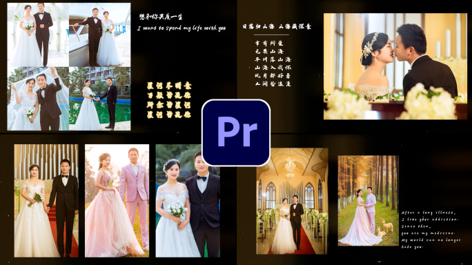 婚礼爱情电子相册2020PR模板