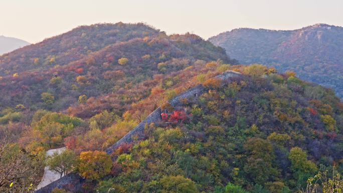 北京香山红叶