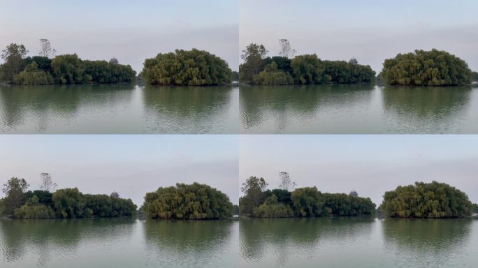 邳州沙沟湖：静谧波纹的自然律动