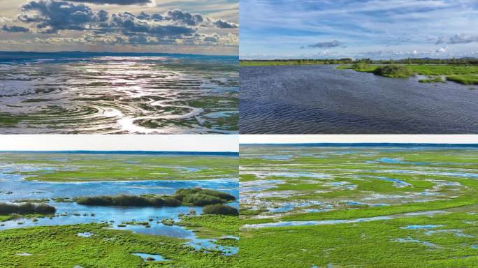 黑龙江七星河湿地A