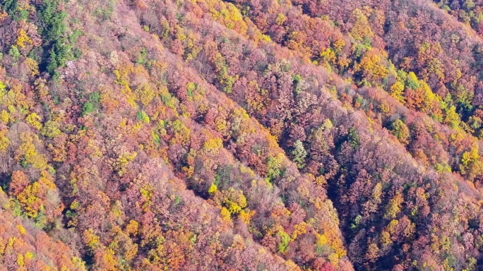 秋季秦岭自驾游