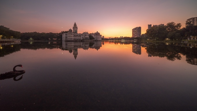 广州流花湖公园白宫和黑天鹅的日落延时