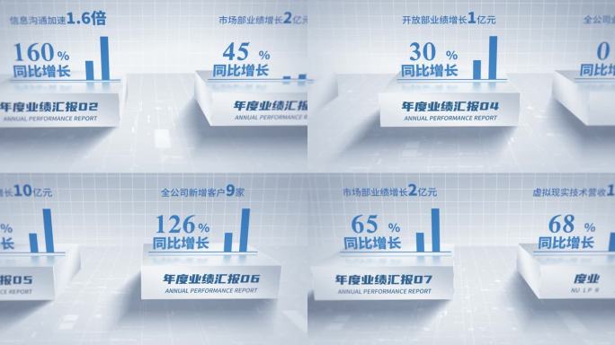 立体年终数据报告B
