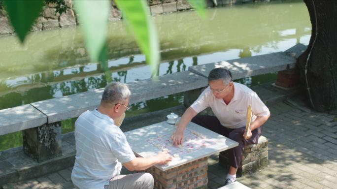 象棋公园下棋老人老年退休生活快乐