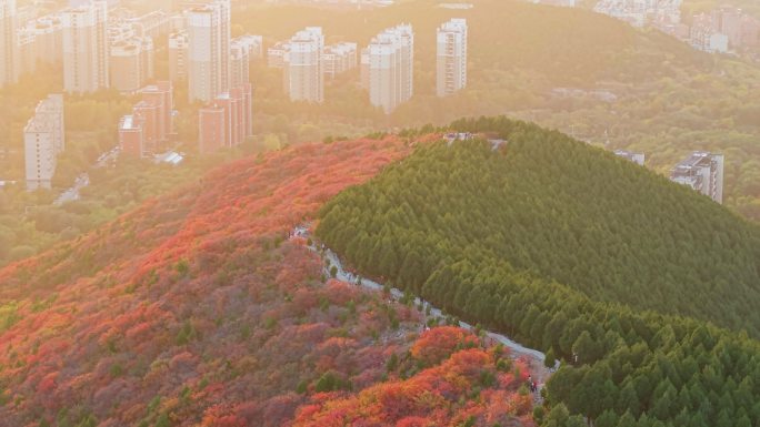 4k航拍山东济南蝎子山秋景